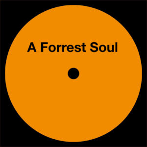 Floris de Haan - A Forrest Soul