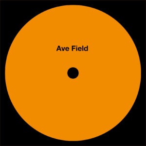 Tess van der Velde - Ave Field