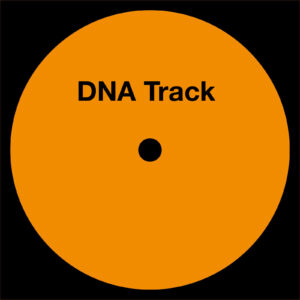 Friso Hoekstra - DNA Track