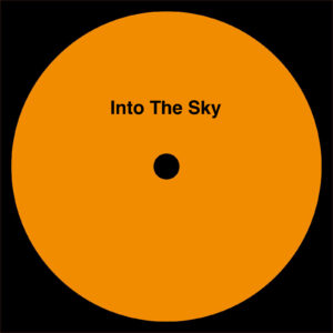 A Mad Tenor - Into The Sky