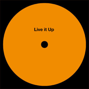 Roel Gommans & Jules Reivers - Live it Up