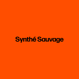 Synthé Sauvage