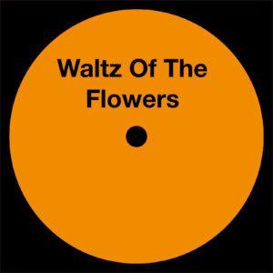 A Mad Tenor - Waltz Of The Flowers