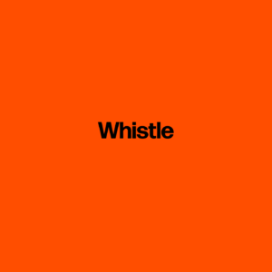 Whistle