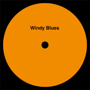 A Mad Tenor - Windy Blues