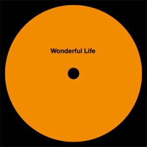 Echo Room - Wonderful Life